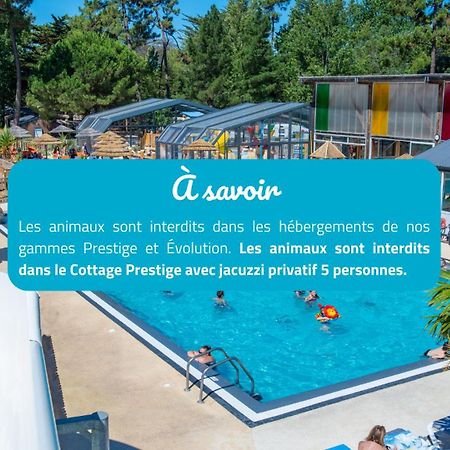 Camping Signol Boyardville المظهر الخارجي الصورة