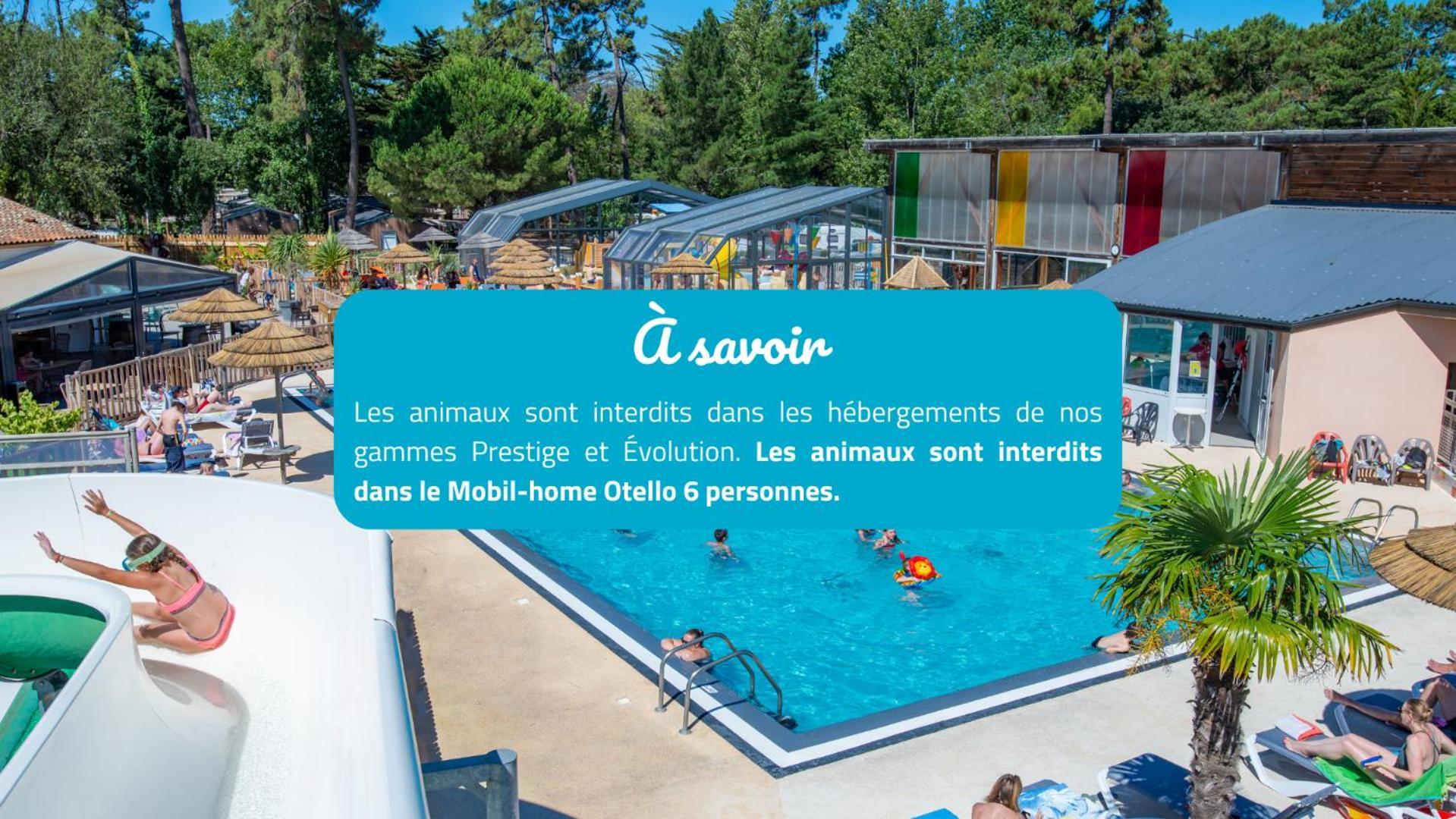 Camping Signol Boyardville المظهر الخارجي الصورة