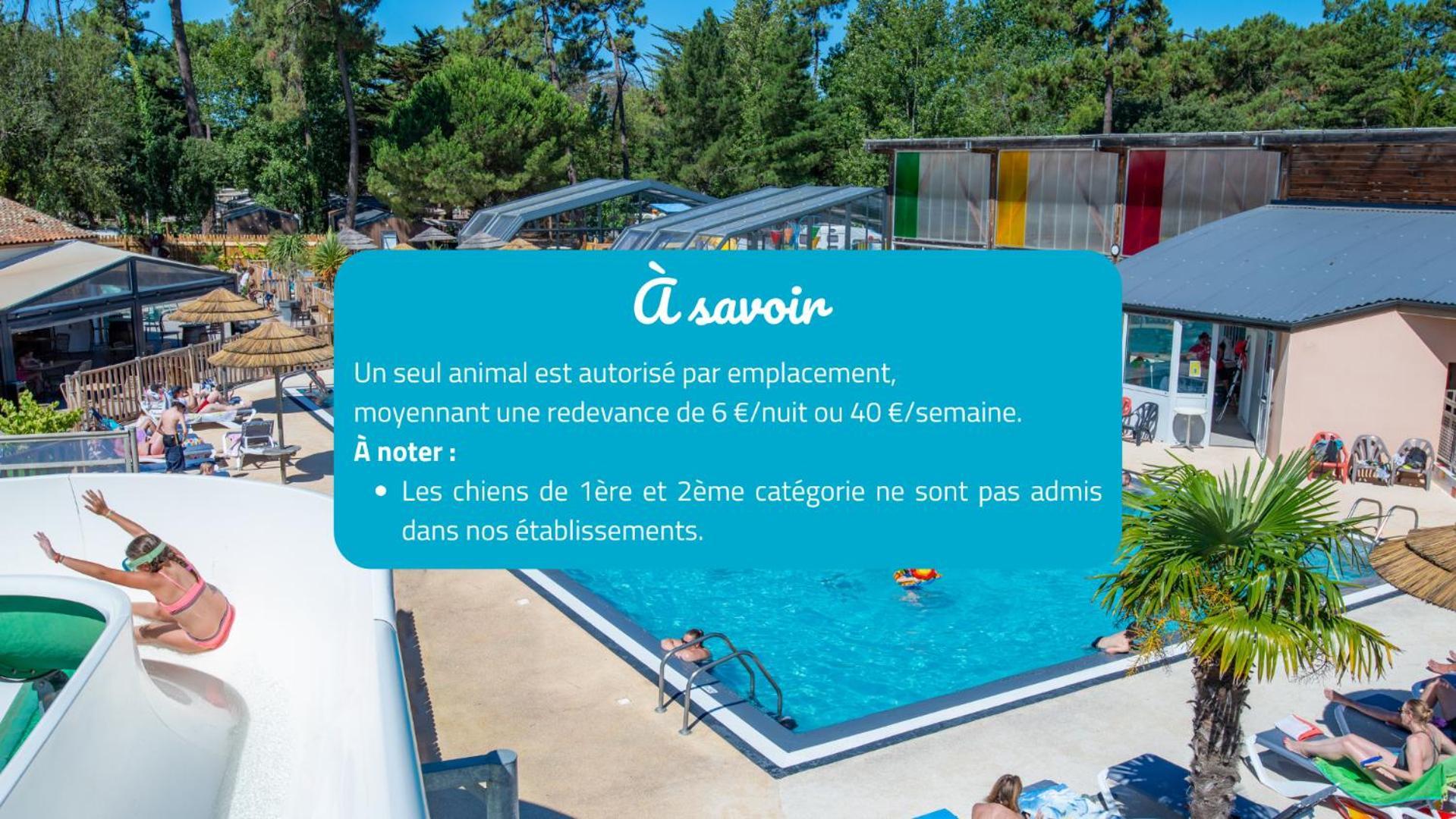 Camping Signol Boyardville المظهر الخارجي الصورة