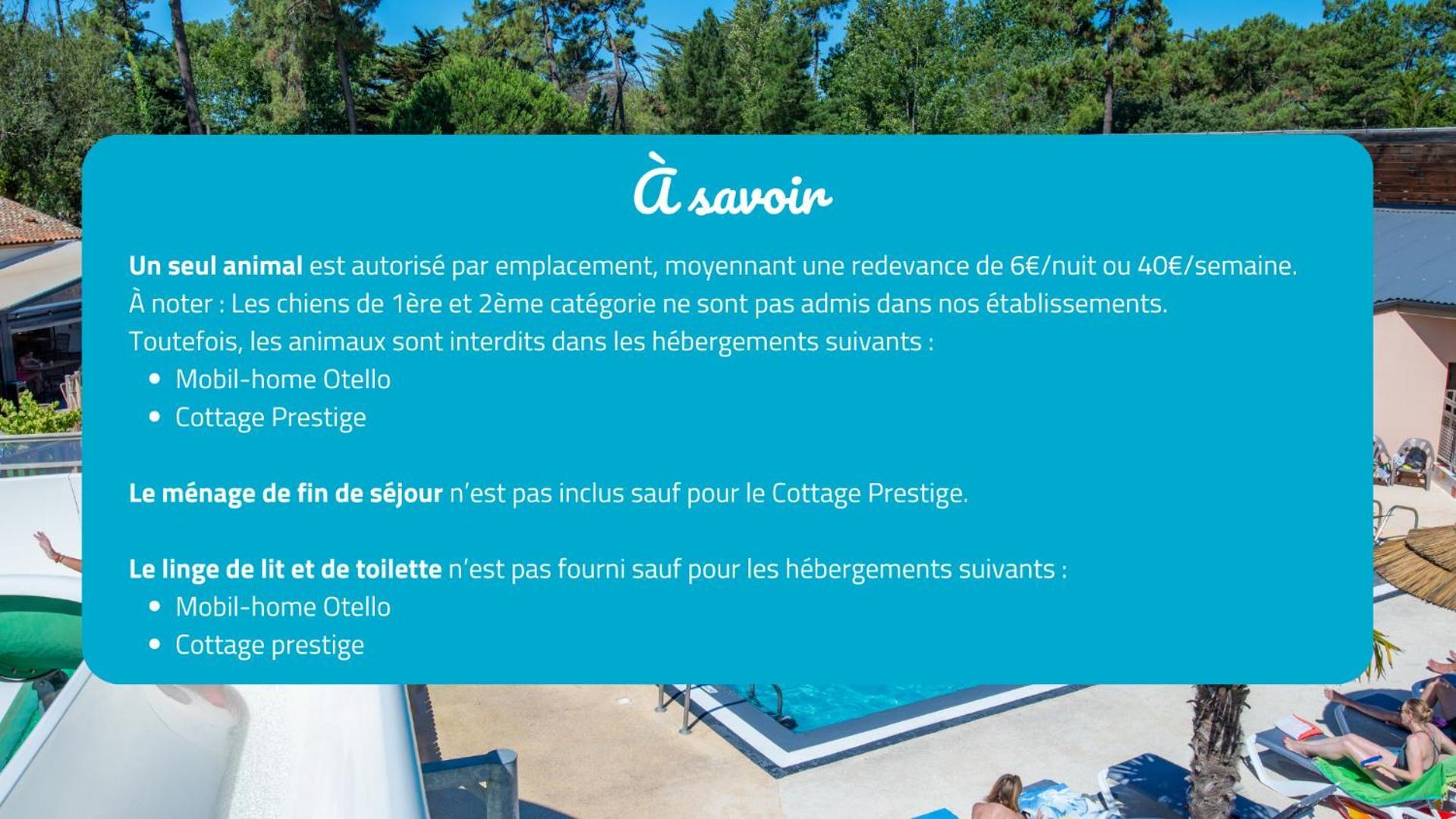 Camping Signol Boyardville المظهر الخارجي الصورة